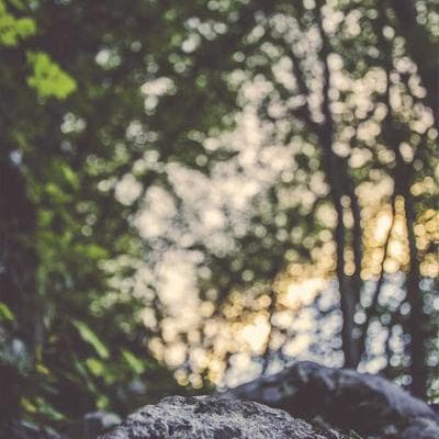 Bolígrafos Bic Cristal x50