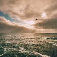 Compás Estudiante Maped - Imagen 3