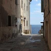 Cuaderno Profesional Familia 200 Hojas - Imagen 1