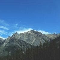 Organizador de Escritorio 4 Gavetas - Imagen 4