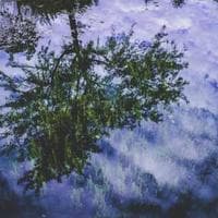 Pilas AA Panasonic x4 - Imagen 1