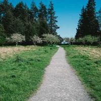 Pilas AA Panasonic x4 - Imagen 4