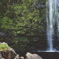 Plastilina Pelikan x12 Colores - Imagen 2