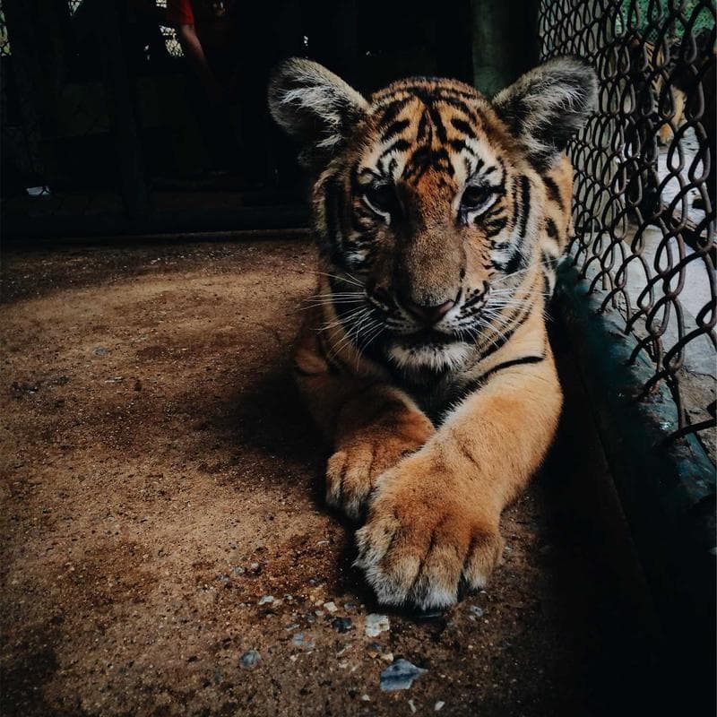 Resma Papel Carta 500 Hojas