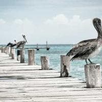 Resma Papel Carta 500 Hojas - Imagen 1