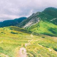 Set Pinceles Maped x6 - Imagen 2