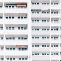 Set Pinceles Maped x6 - Imagen 4